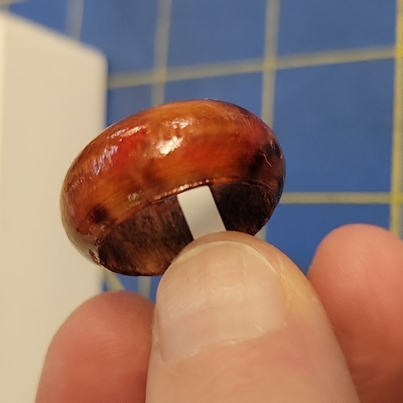 Wooden Ring Size 8 - Picture 1 of 2